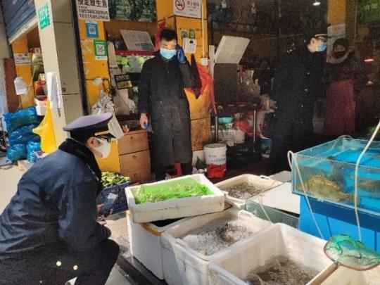 黑斑蛙、豪猪、野鸭、花龟……上海公布一批野生动物保护案件